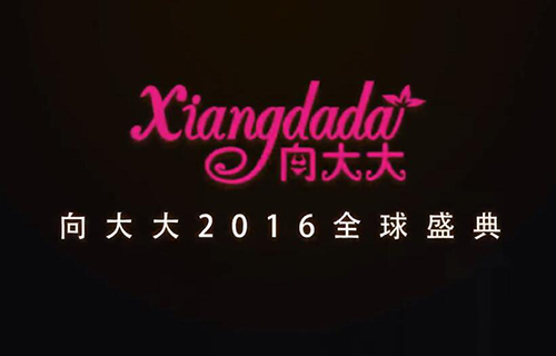 2016向大大年会精彩瞬间【视频】