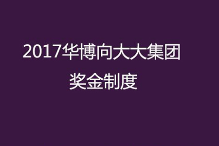 2017华博向大大集团奖金制度